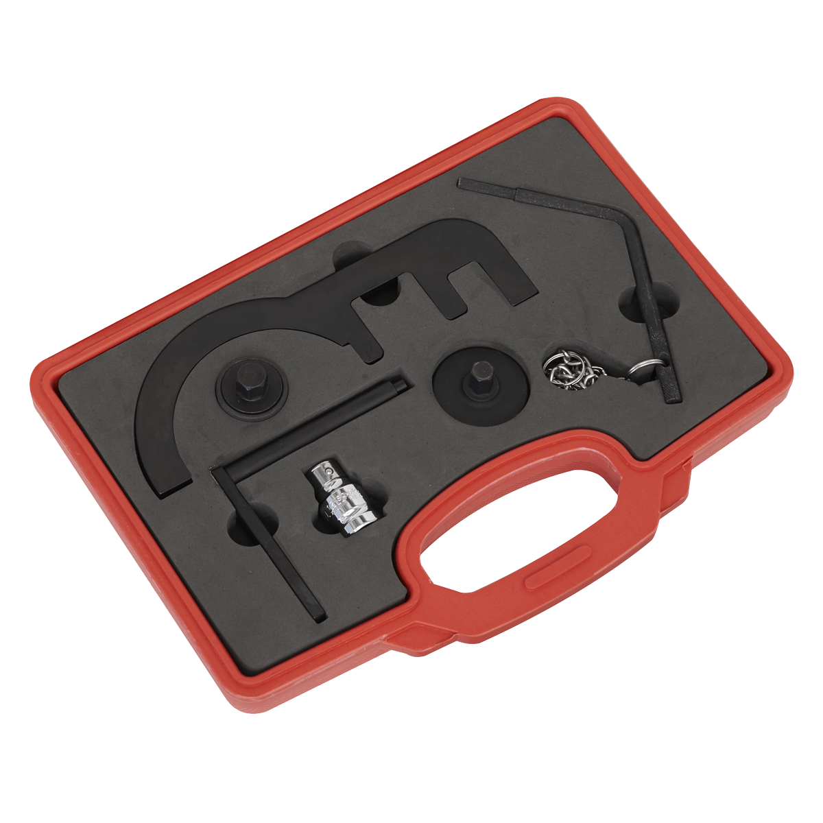 Sealey Diesel Engine Timing Tool Kit - for BMW/Mini 1.5D/1.6D/2.0D/3.0D - Chain Drive VSE6121A